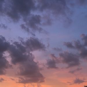 Meet your Posher, Felix